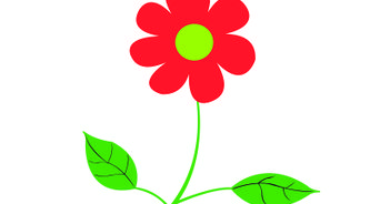 342x184 Easy Ways To Draw A Flower - Step By Step Drawing Flowers Beginner