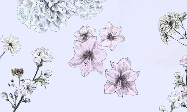 650x391 Blooming Garden Learn How To Draw Flowers In Just Steps! - Step By Step Drawing Flowers Beginner