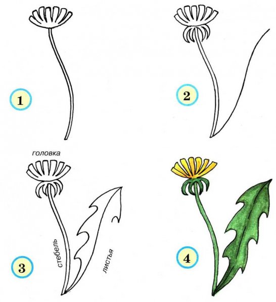 546x597 Learn To Draw For Kids Flowers Step - Step By Step Drawing Flowers For Kids