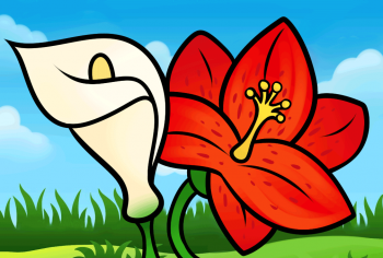 350x236 Flowers - Step By Step Drawing Flowers For Kids