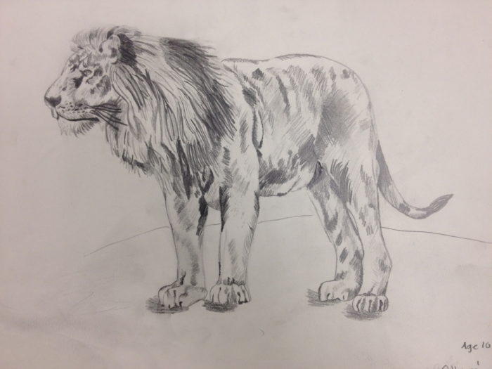 700x525 Lion Pencil Drawing - Step By Step Drawing For 11 Year Olds