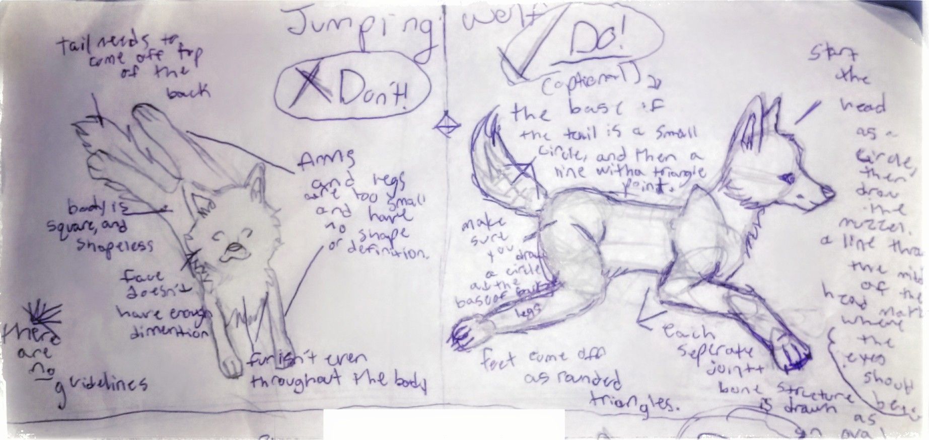 1845x875 Some Tips For Kids On Drawing A Jumping Wolf - Step By Step Drawing For 11 Year Olds