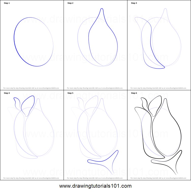 751x757 How To Draw A Rose For Kids Printable Step - Step By Step Drawing For Kids Printable
