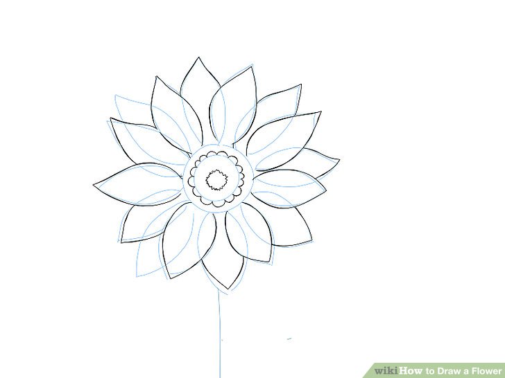 728x546 Easy Ways To Draw A Flower - Step By Step Drawing Realistic Flowers