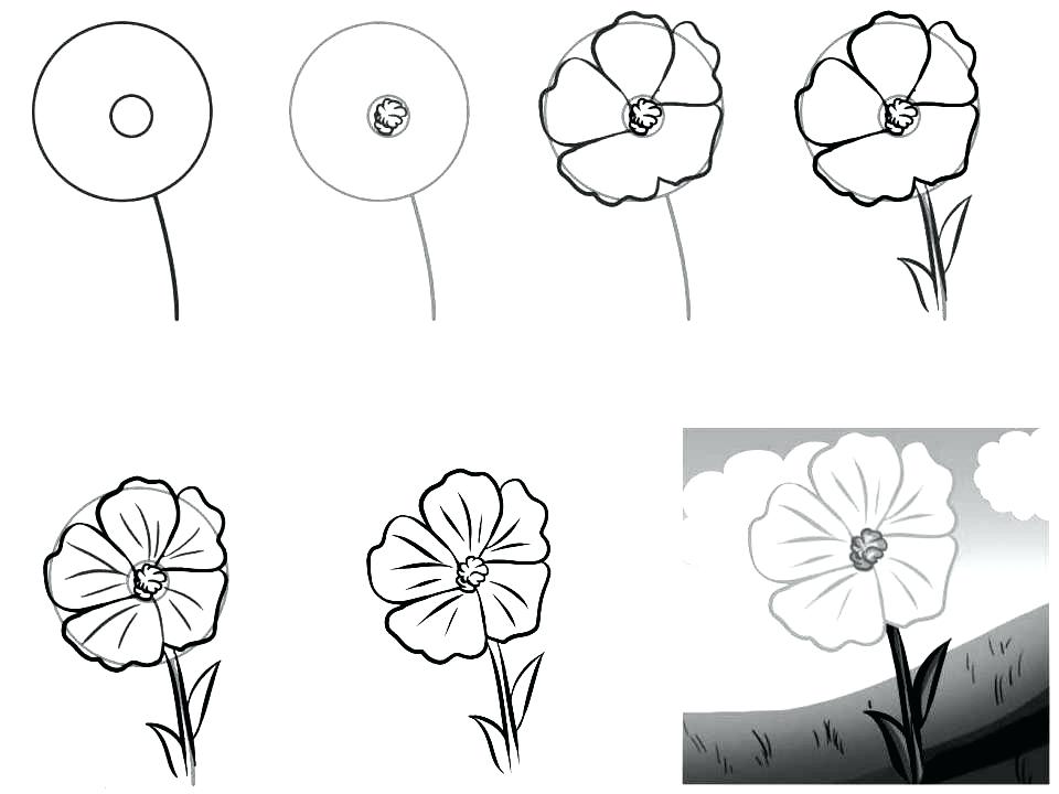 how do you draw flowers