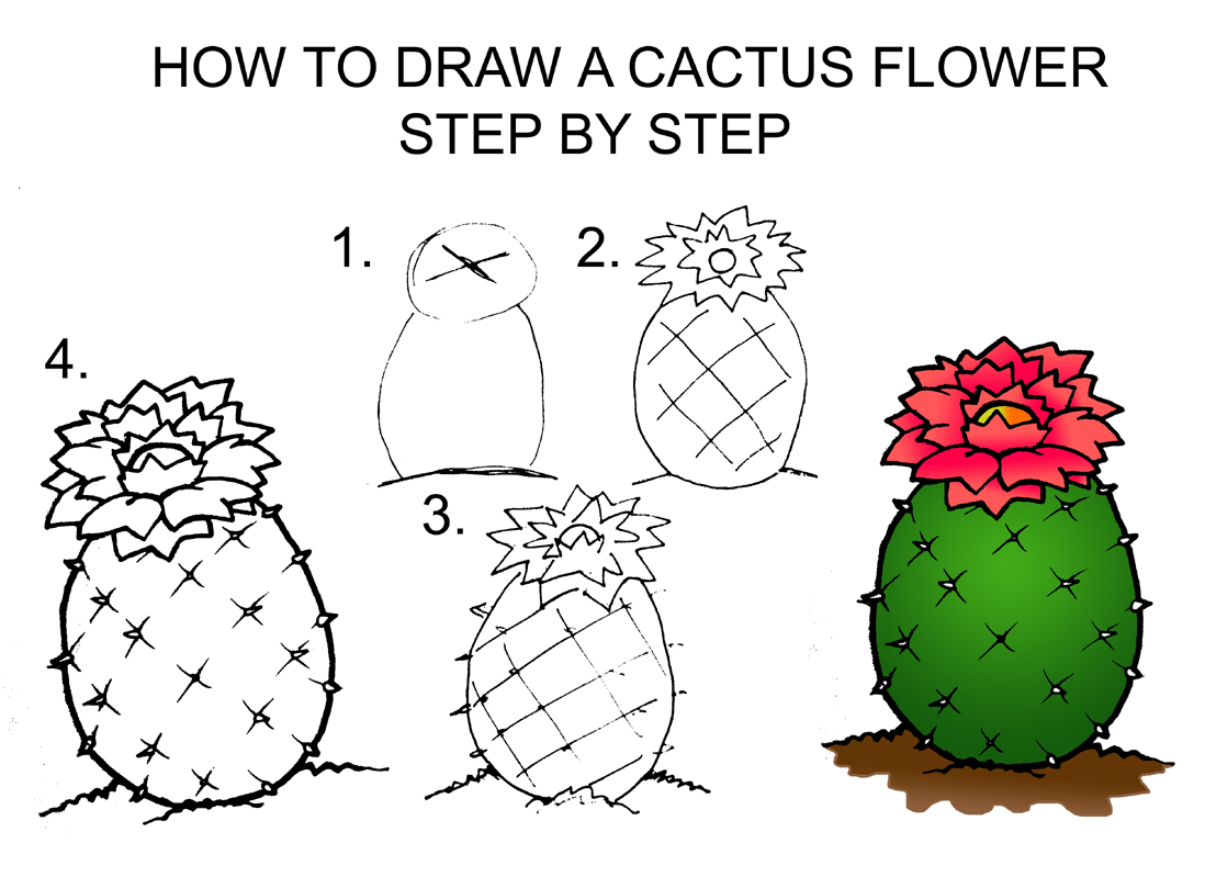 1098x799 Step - Step By Step Drawing Realistic Flowers