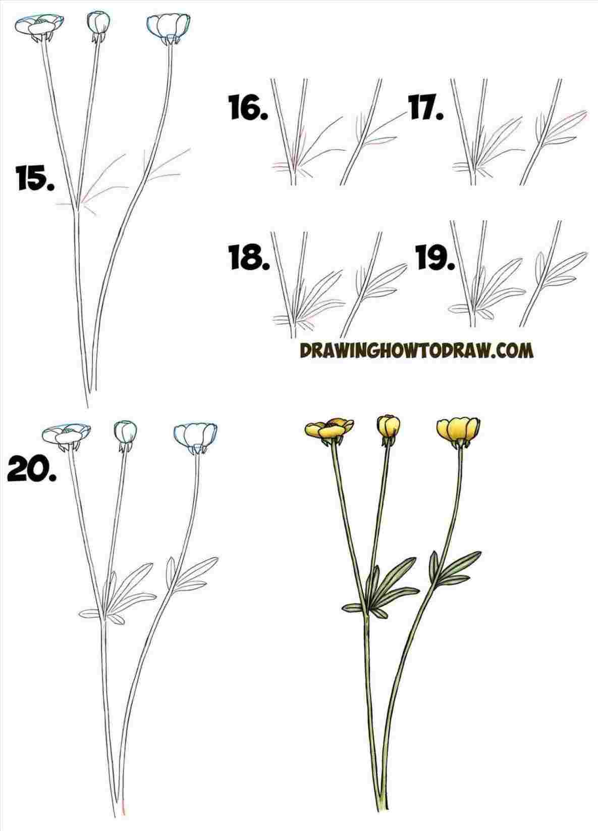 Step By Step Drawing Realistic Flowers at PaintingValley.com | Explore