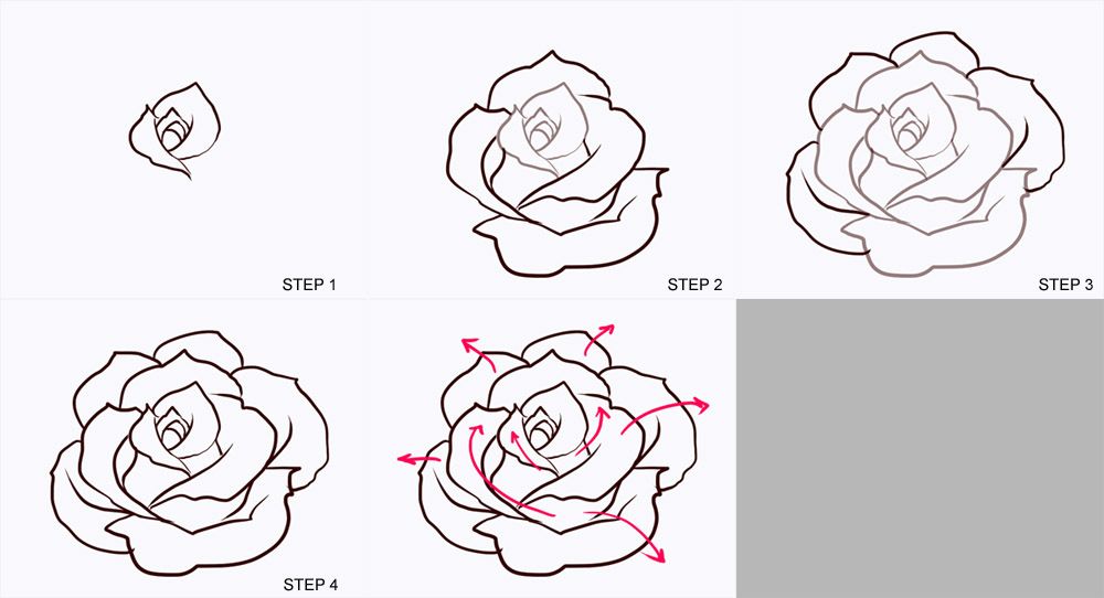 Step By Step Drawing Realistic Flowers at PaintingValley.com | Explore