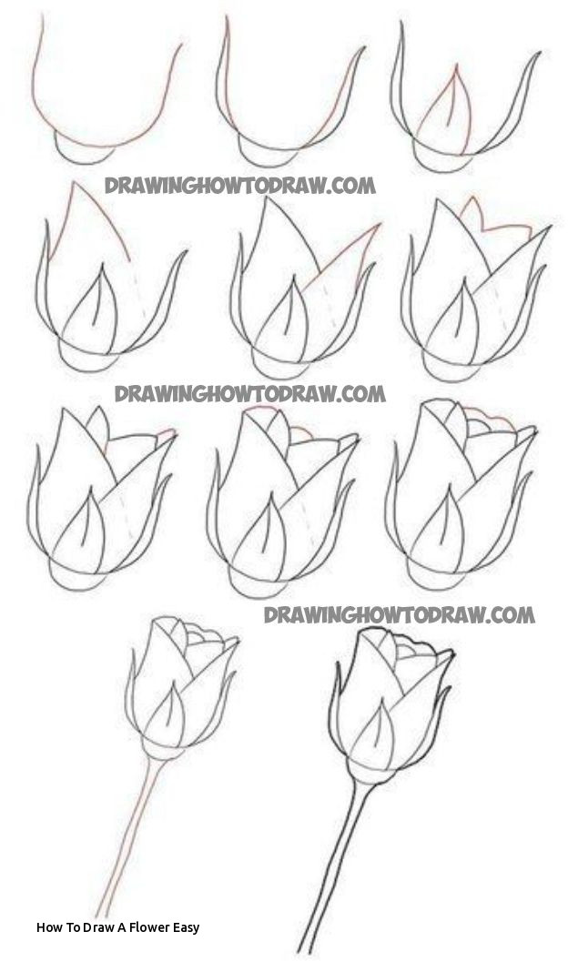 624x1068 how to draw a flower easy rose flower drawing step step - Step By Step Flower Drawing Easy