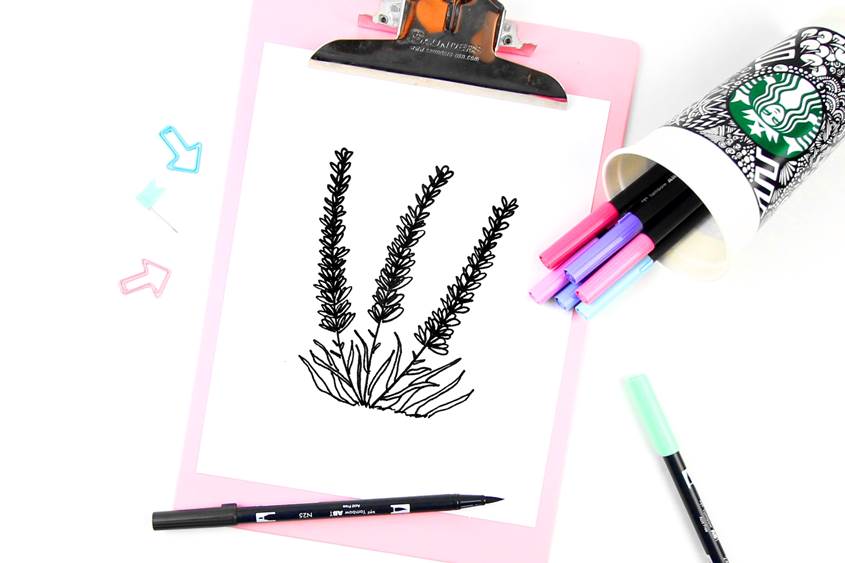 845x563 Lavender Drawing - Step By Step Flower Drawing Easy