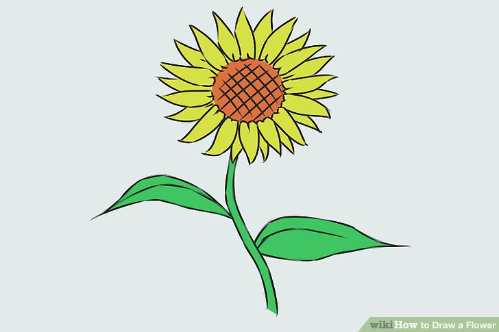 728x485 Easy Ways To Draw A Flower - Step By Step Flower Drawing Easy