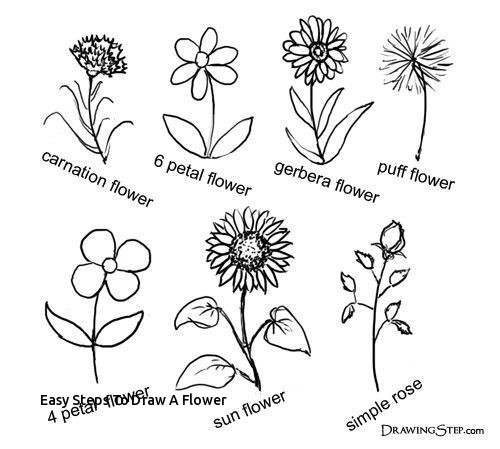 Featured image of post How To Draw A Simple Flower : Illustrate your favorite story by drawing a pristine forest inhabited by wild animals or fairy tale.