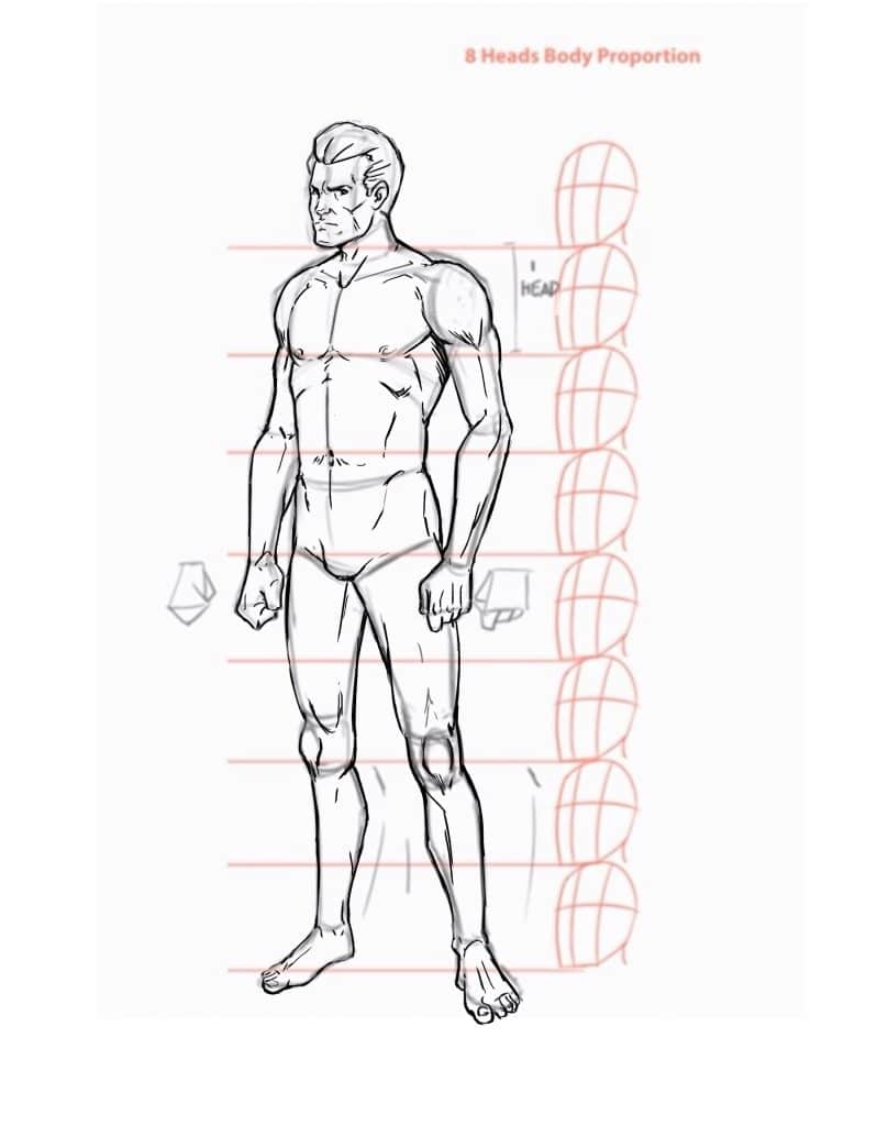 798x1024 How To Draw The Human Body Step - Step By Step How Drawing A Person