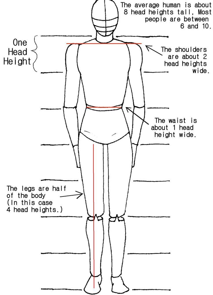 736x1018 How To Draw The Human Body - Step By Step How Drawing A Person