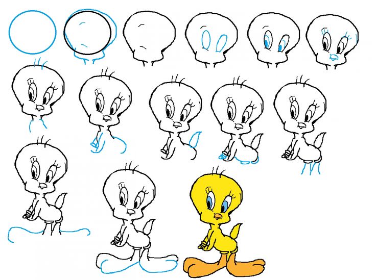 736x549 Image For Easy Anime Tweety How To Draw Cartoon Characters Step - Step By Step How Drawing Disney Characters