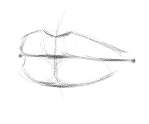 300x250 How To Draw Lips Step - Step By Step Lip Drawing