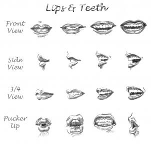 302x291 How To Draw Realistic Lips, Sketch Lips, Step - Step By Step Lip Drawing