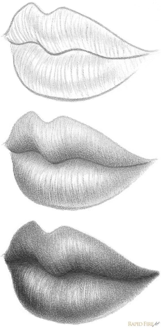 330x670 How To Draw Lips From The View Rapidfireart - Step By Step Lip Drawing