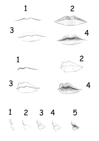 322x456 How To Draw Lips Step - Step By Step Lip Drawing