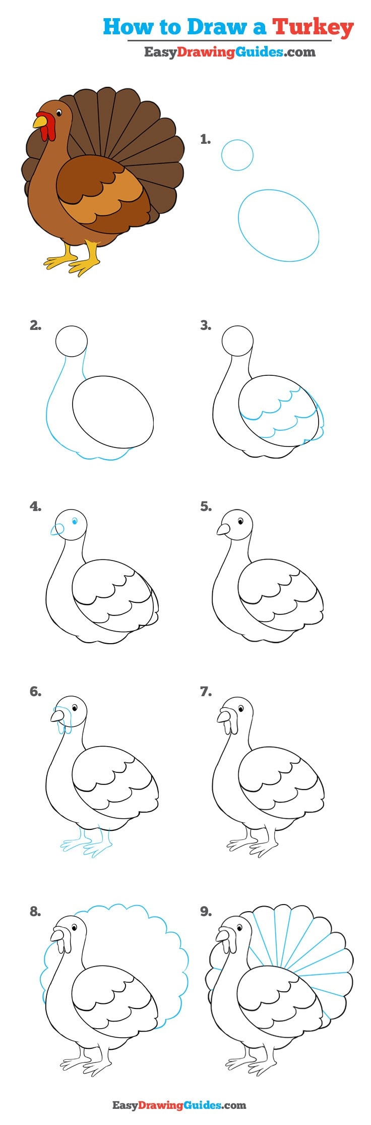 736x2230 How To Draw A Turkey - Step By Step Turkey Drawing