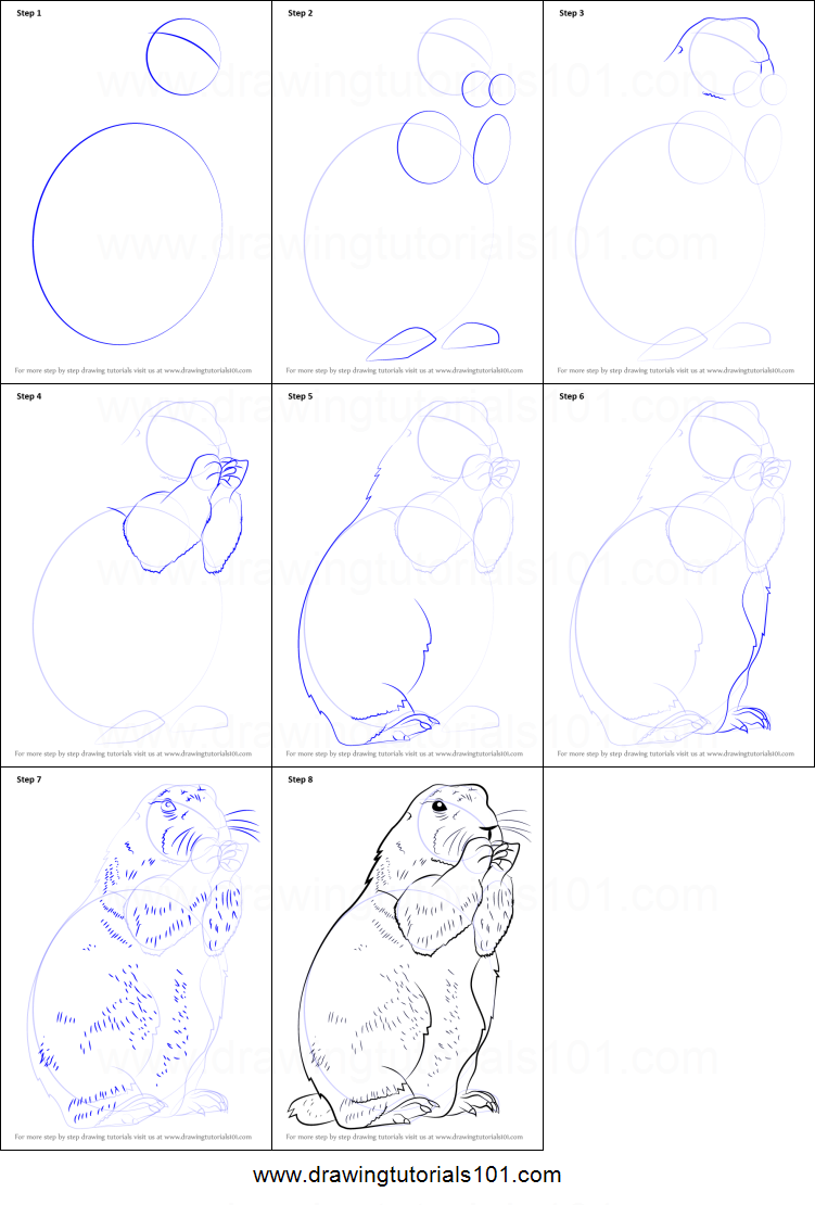 751x1110 How To Draw A Prairie Dog Printable Step - Steps Drawing A Dog