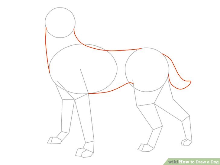 728x546  - Steps Drawing A Dog