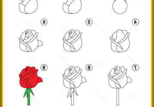 300x210 How To Draw Lavender Flowers Step - Steps Drawing A Flower