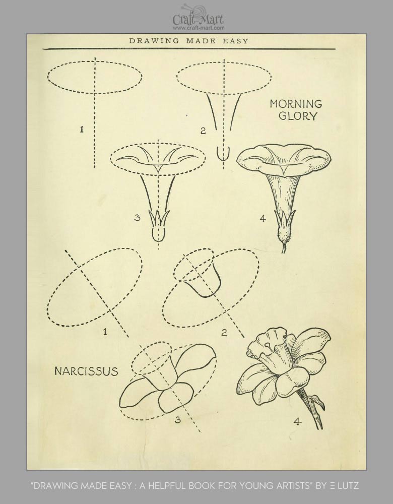 780x1000 How To Draw Flowers And Turn These Drawings Into Really Cool Wall - Steps Drawing A Flower