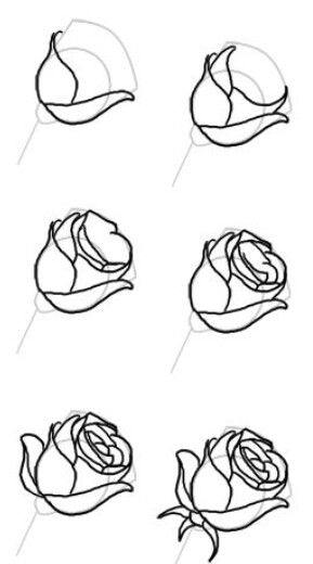 289x520 Rose Steps Drawings Drawings, Pencil Drawings, Art - Steps Drawing A Flower