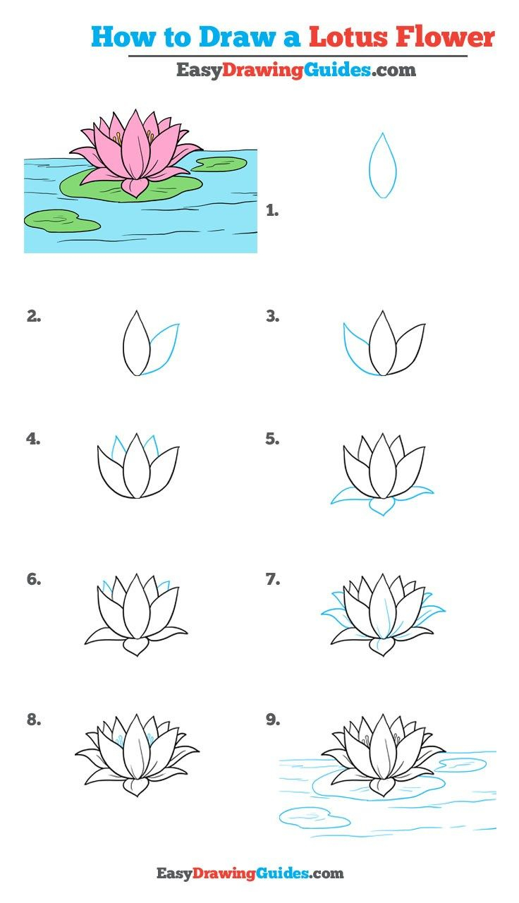 736x1280 How To Draw Flowers Easy Step - Steps Drawing A Flower