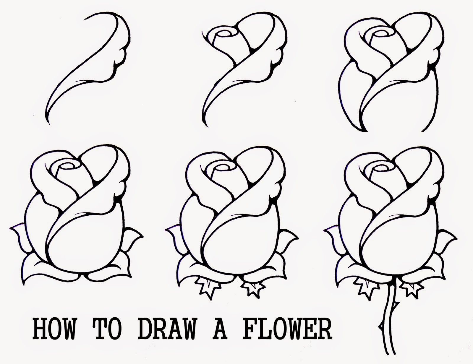 Steps Drawing A Flower at PaintingValley.com | Explore collection of ...
