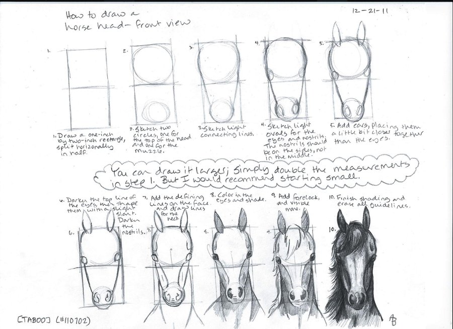 900x654 How To Draw A Horse - Steps Drawing A Horse