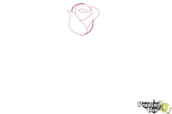 600x400 How To Draw A Rose Step - Steps Drawing A Rose
