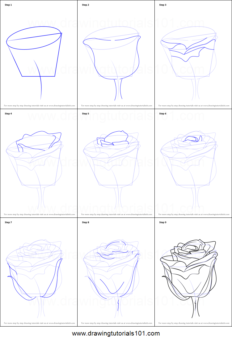 Steps Drawing A Rose at PaintingValley.com | Explore collection of ...