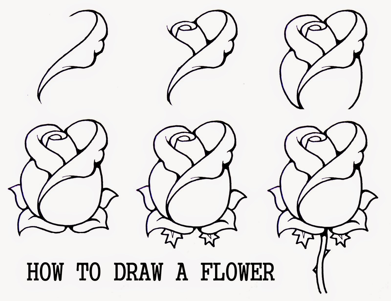 1600x1232 Simple Step - Steps Drawing A Rose