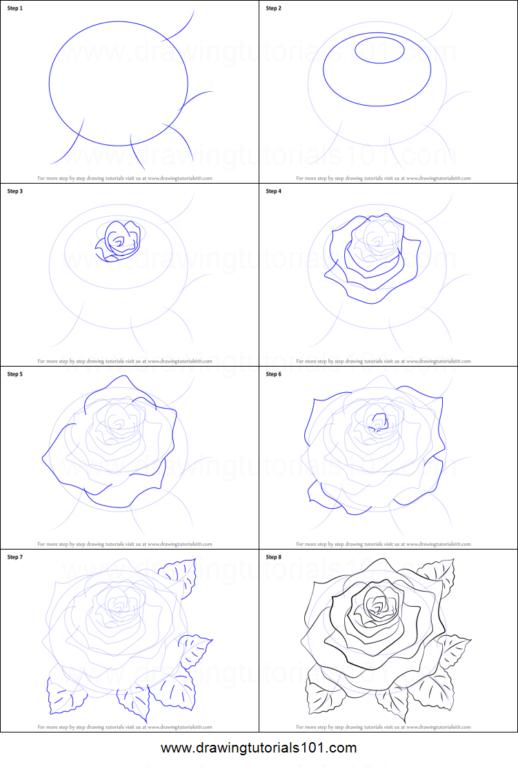 Steps Drawing A Rose at PaintingValley.com | Explore collection of ...