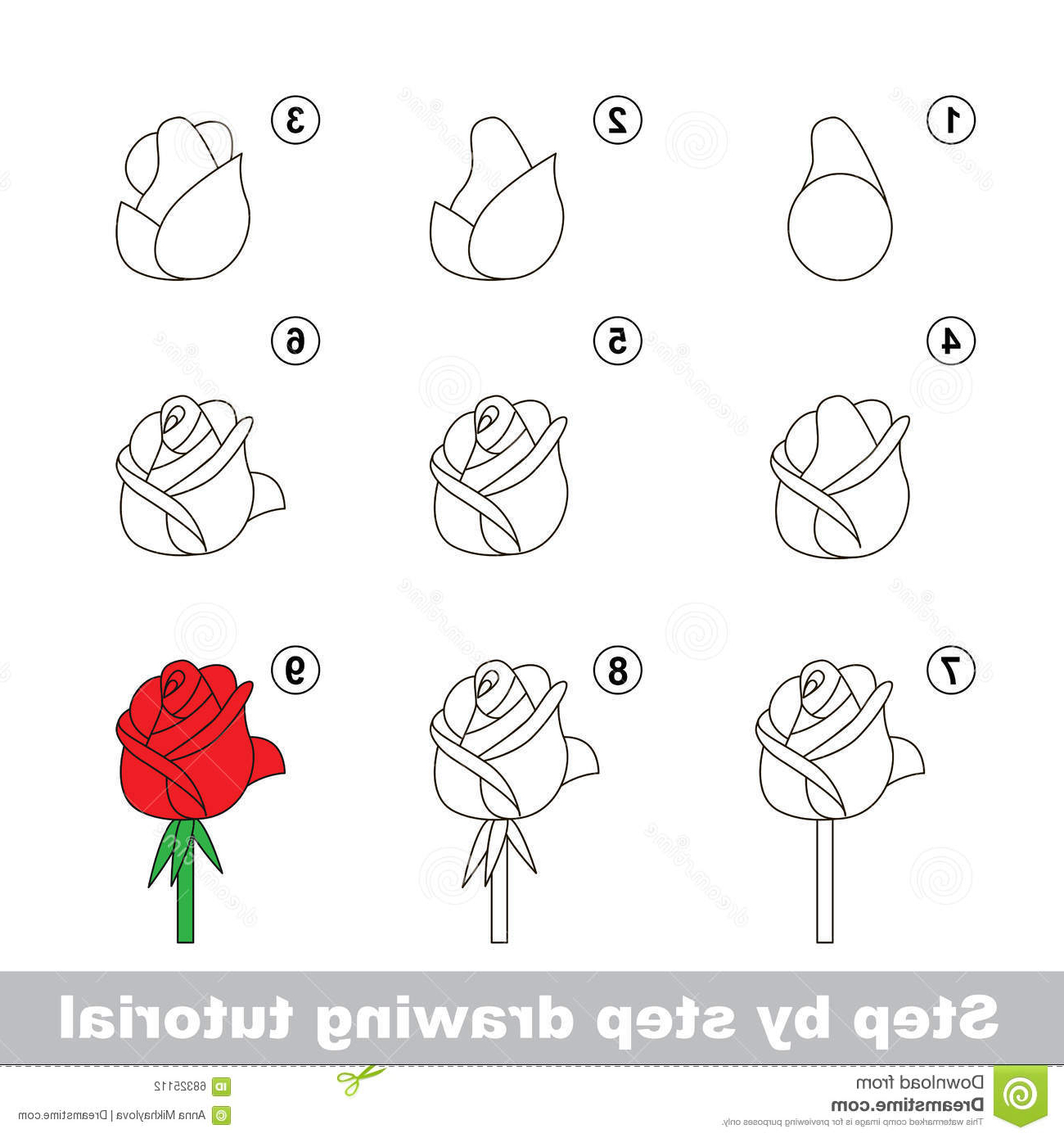 Steps Drawing A Rose at PaintingValley.com | Explore collection of ...