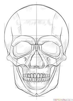 236x326 How To Draw A Human Skull Step - Steps Drawing A Skull
