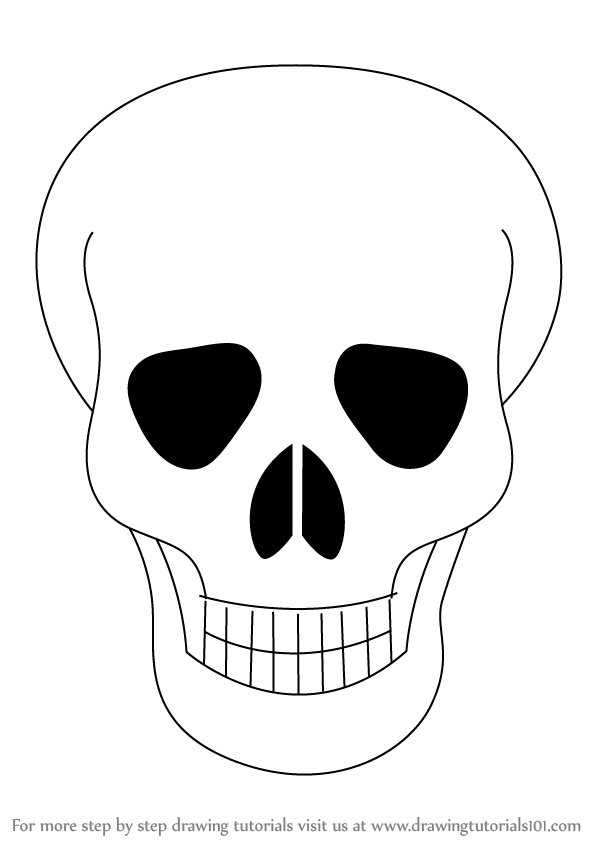598x844 Learn How To Draw Skull Easy - Steps Drawing A Skull
