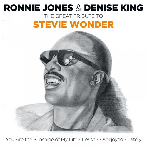500x500 denise king, ronnie jones - Stevie Wonder Drawing