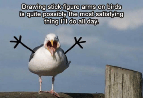 500x365 Drawing Stick Figure Arms On Birds Is Quite Possibly The Most - Stick Bird Drawing
