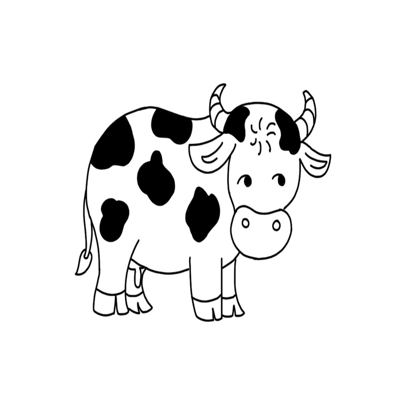 800x800 New Chinese Stick Drawing Books - Stick Bird Drawing