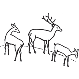 254x254 How To Draw Deer Step - Stick Figure Drawing Tutorial