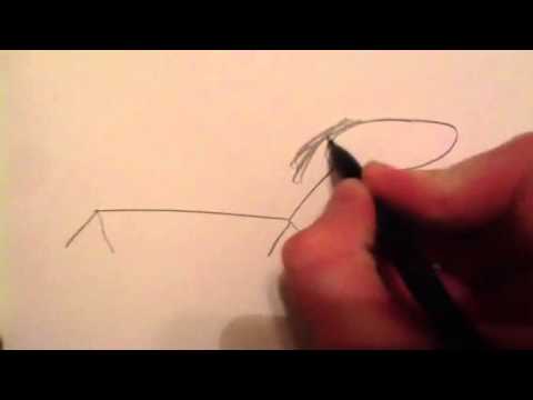 480x360 How To Draw A Stick Horse - Stick Horse Drawing