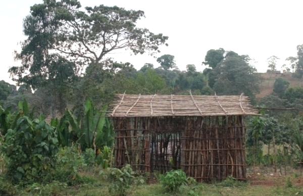 600x388 Stick House - Stick House Drawing