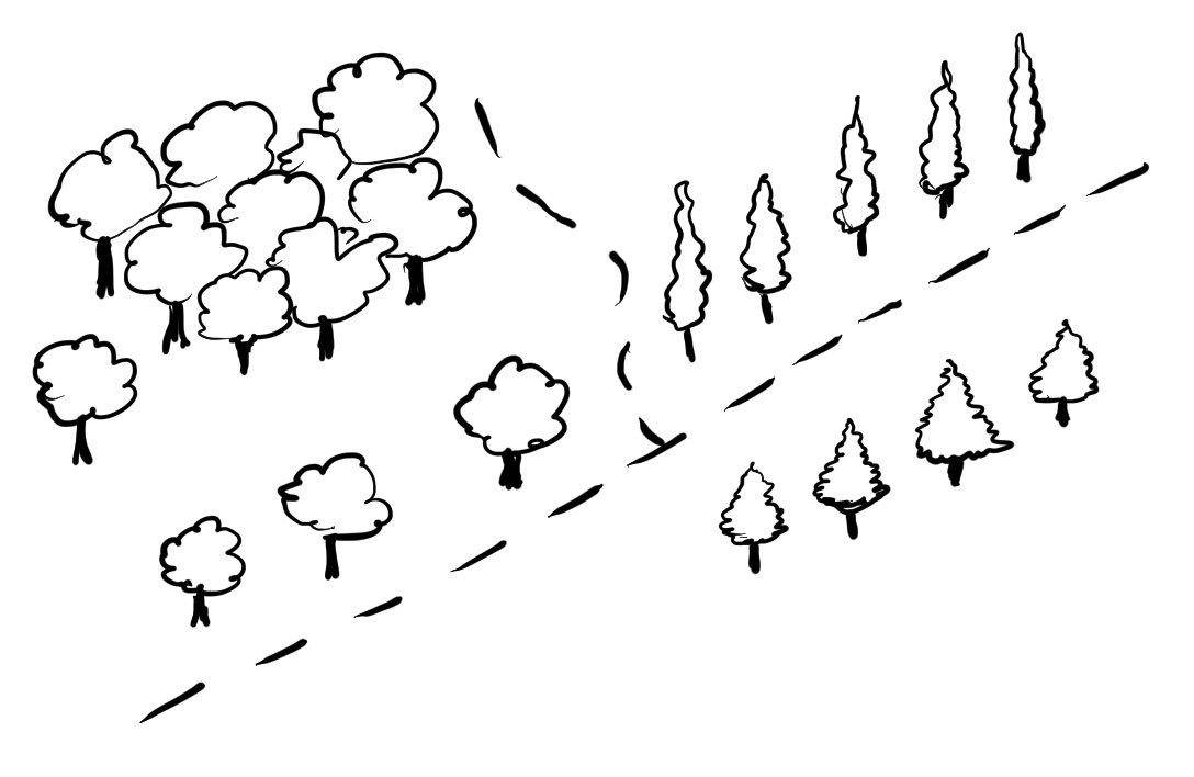 1088x708 How To Draw Simple Trees On A Map - Stick Tree Drawing