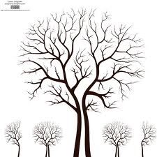 225x225 Leafless Tree Drawing - Stick Tree Drawing