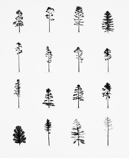 429x523 Stick Poke Palm Tattoo - Stick Tree Drawing