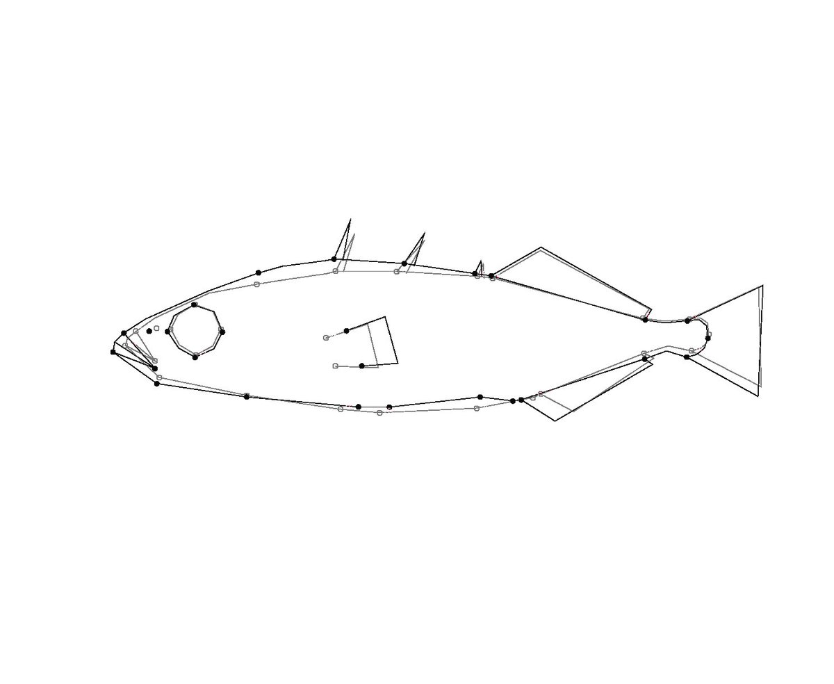 1200x984 Maccoll Stickleback Lab - Stickleback Drawing