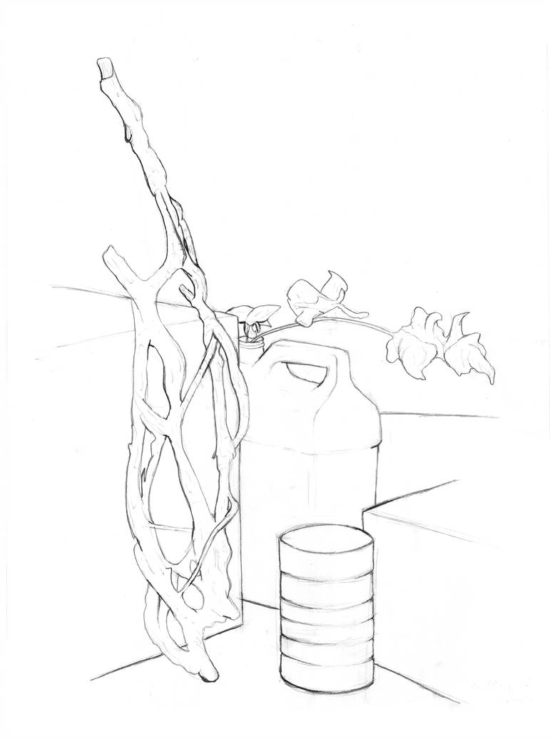 771x1036 line contour still life - Still Life Contour Drawing